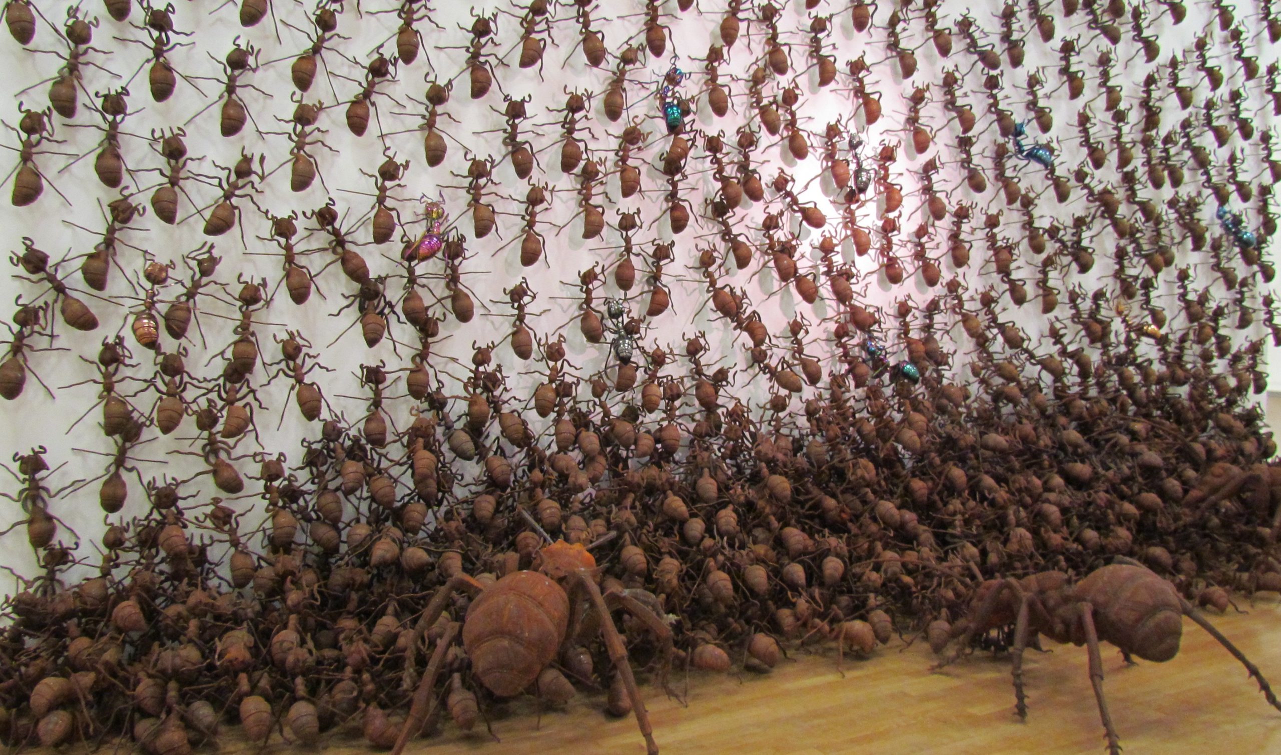 CHEN ZHIGUANG Magischer Raum, Ameisen-Installation, ca. 700 Ameisen aus verschiedenen Metallen. Ausstellungsansicht Ludwig Museum Koblenz 2022 © Chen Zhiguang. Foto: Rebekka Welker