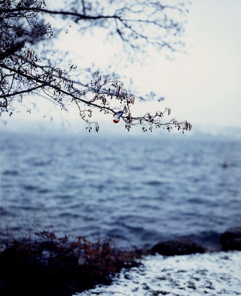Jean-Marc Bustamante: Photographie en couleurs, 2001, 180 x 140 cm © VG Bild-Kunst Bonn, 2026